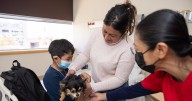 ¿Cómo ayudan los perros de intervención a los pacientes vulnerables?