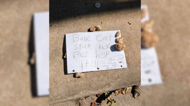 Mysterious Note Left Near A Sewer Drain Leads Texas Rescuers To A Tiny Animal In Danger