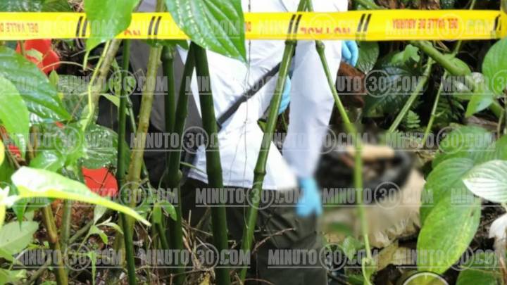 Horror en Bogotá: hallan partes humanas en bolsas de basura en pleno centro