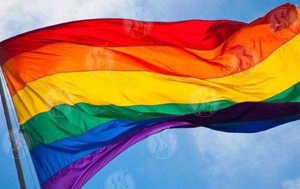 Rechaza EU anular fallo que permite matrimonio igualitario