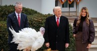 Trump adds two Thanksgiving turkeys to his long list of second