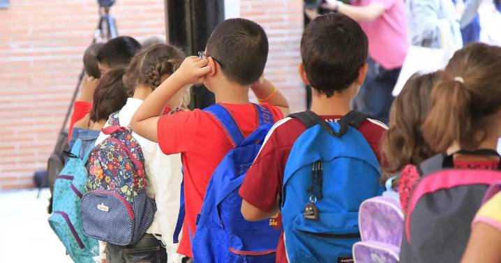 Nuevo aviso al Govern tras el doble fallo del TSJB: «Ya no puede mirar hacia otro lado» en la escuela pública