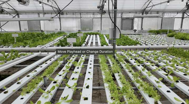 Watch Us Farm expansion will boost job training for kids and adults with disabilities