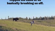 Un bisonte intenta embestir a dos turistas del parque Yellowstone que se habían acercado demasiado para verle