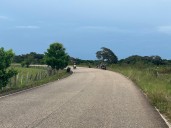 Fallece un joven en accidente de tránsito en la vía Pore
