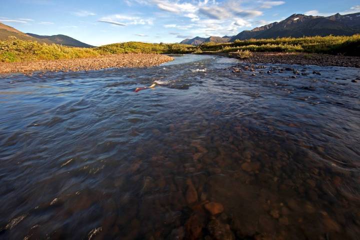 Alaska tribal nations demand a say on Canadian resource projects