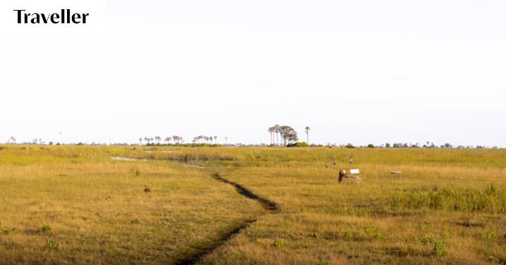 Botswana luxury safari camp: What it’s like to stay and safari at Wilderness DumaTau camp