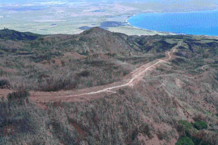 Hawaiʻi Needs More Firebreaks. Maui Is Making It Happen