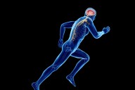 Cuando hacemos ejercicio, nuestros músculos ‘hablan’ con el cerebro y lo fortalecen