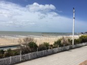 Sube la temperatura: así estará el clima este miércoles en Mar del Plata