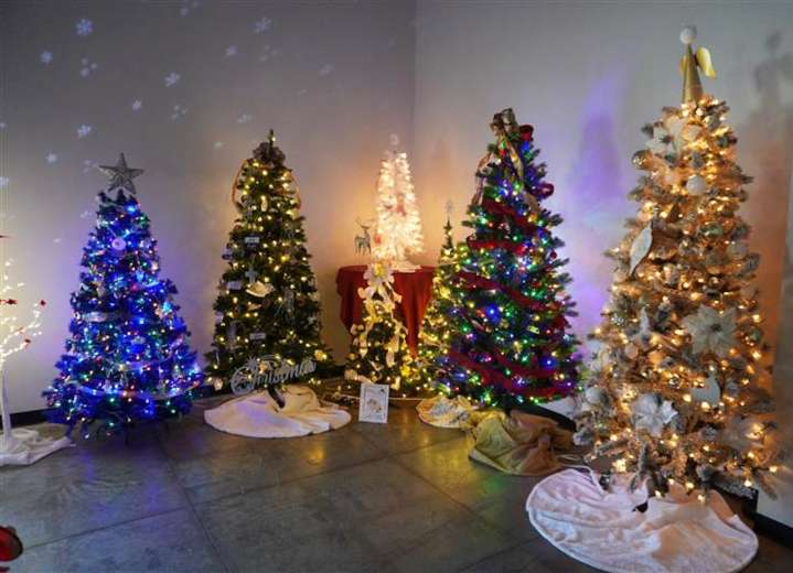 Bids open soon for Westfield on Weekends’ annual Tree Jubilee