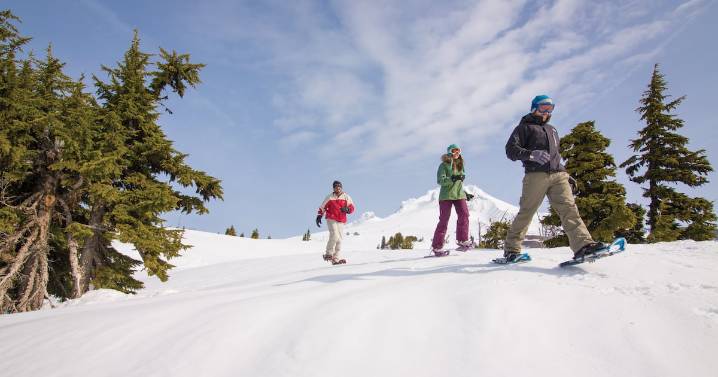 Five Ways To Enjoy Winter On Mt. Hood