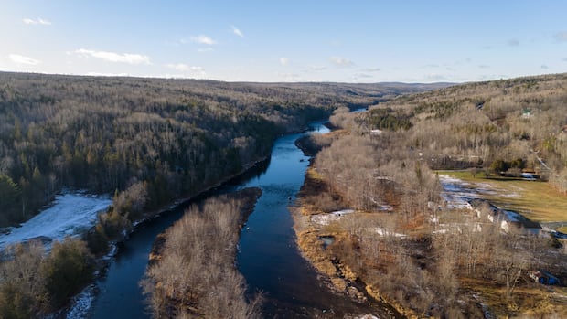 None of 40 Sisson Mine conditions met so far, province says