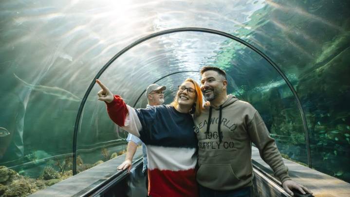 SeaWorld San Diego to honor military during Veterans Day weekend