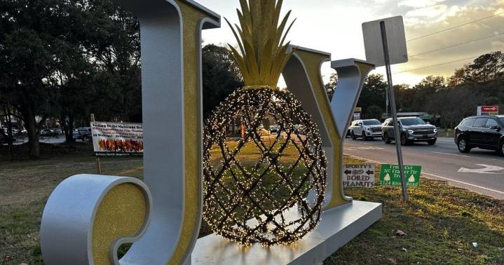 Charleston City Council allocates $43k for holiday decor