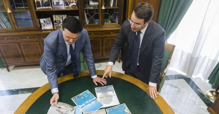 Detienen al presidente y vicepresidente de la Diputación de Almería por contratos irregulares de mascarillas