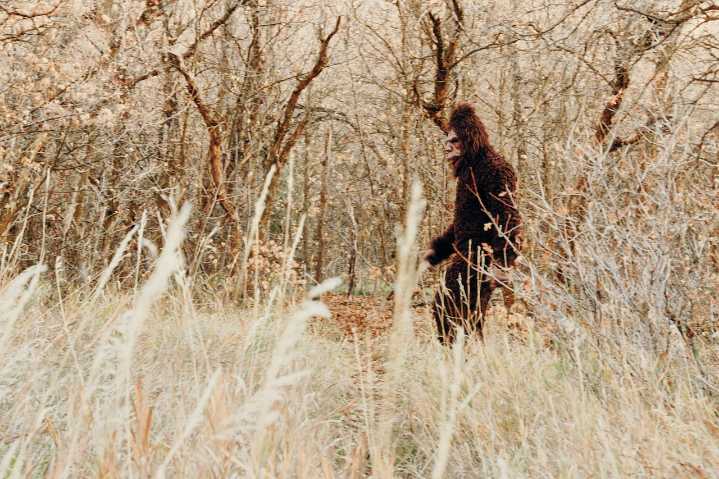 Paranormal Pa.: Driver claims he saw a creature resembling a Bigfoot on Centre County highway
