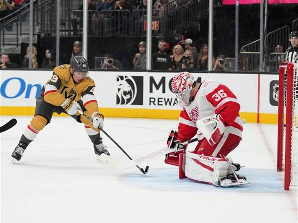 Red Wings come up short in 1-0 loss to Golden Knights