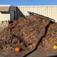 Snowstorm suspends Madison curbside leaf collection until Spring 2026