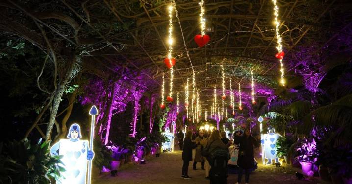El espectaculo 'La Navidad en el Jardín de las Maravillas' en el Jardín Botánico, en imágenes