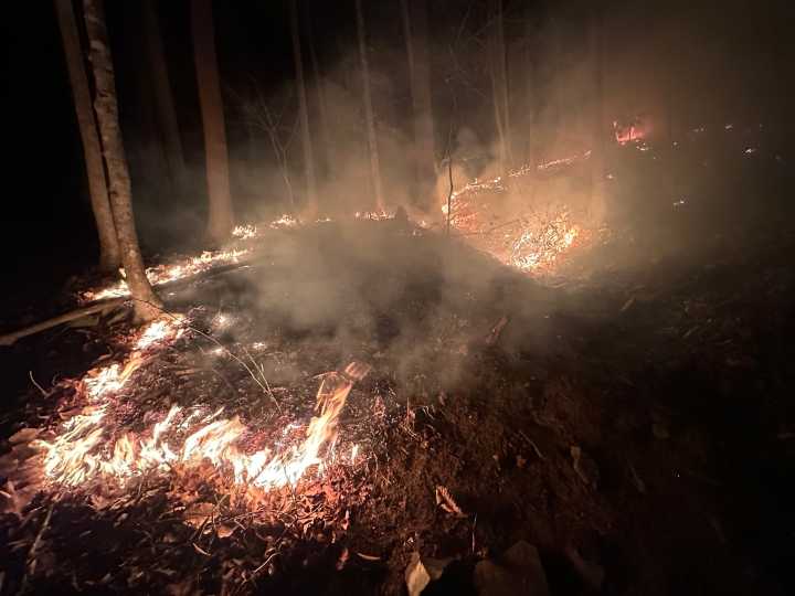 Pendleton County forest fire grows to close to 350 acres