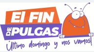 “‘Último domingo y nos vamos’: Comerciantes anuncian el Fin de Las Pulgas con ofertas especiales este 30 de noviembre”
