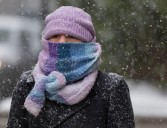 The Tribune’s Quotes of the Week quiz for Nov. 15