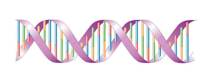 Scientist who unraveled the code of life dies at 97