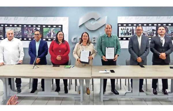 Abren caminos a débiles visuales