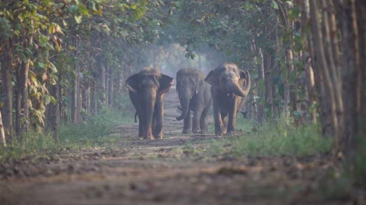 Kamrup-ni Moirapur songni manderang buringni mongmarangni a·sel neng·nikaniko man·enga