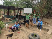 Sin alimento el refugio para animales en frontera