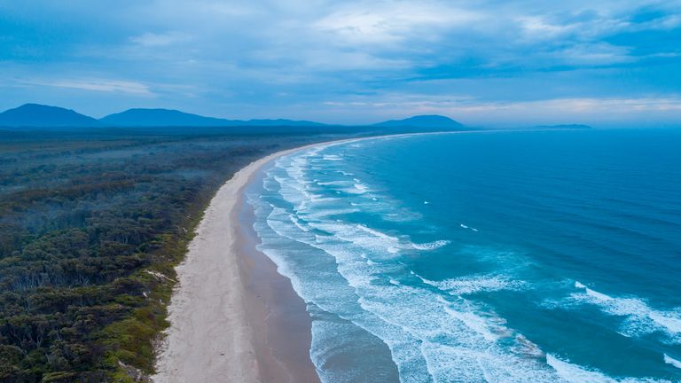 Woman killed and man injured in shark attack in New South Wales, Australia
