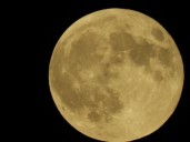 Super Beaver Moon to Shine Brightest and Largest on November 5