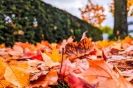 Simple Fall Season Safety Reminders for Washington Homes