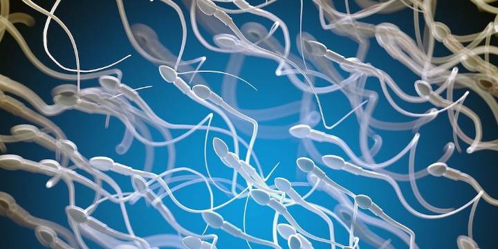 Primer embarazo exitoso tras análisis de esperma guiado por IA