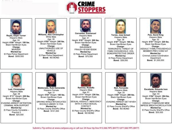 Los más buscados de la semana