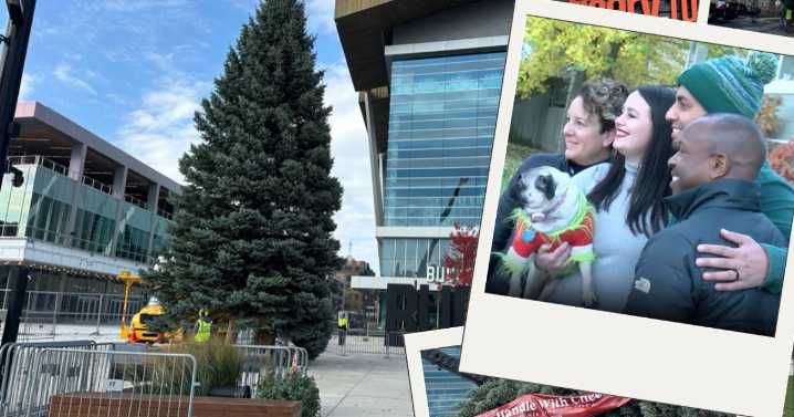 Couple donates backyard tree for Milwaukee Christmas tree lighting ceremony