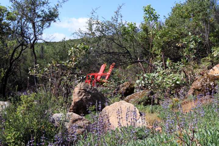 Color is all around you