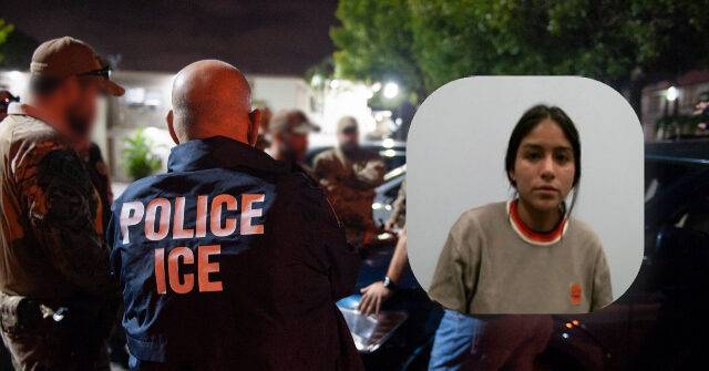 DHS Fires Back After Democrats Accuse ICE of Lying in Viral Arrest Video: 'Smears Fuel Violence Against Agents'