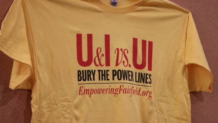 CT Siting Council votes to potentially reconsider UI monopole project