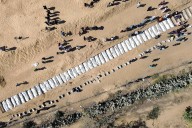 Israel ha asesinado a una media de dos niños por día desde el inicio del alto al fuego: Unicef