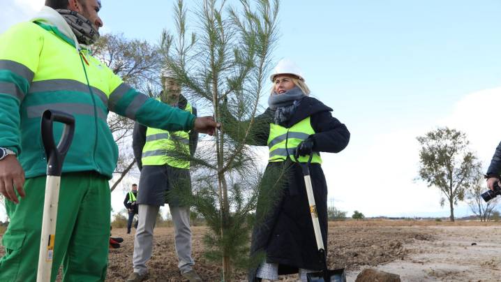Plantados los primeros árboles del Parque Forestal Princesa Leonor, el gran pulmón verde de Alcobendas