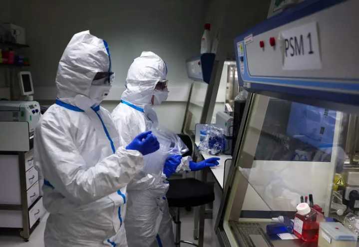 Expertos alertan que la gripe aviar H5 podría superar al Covid