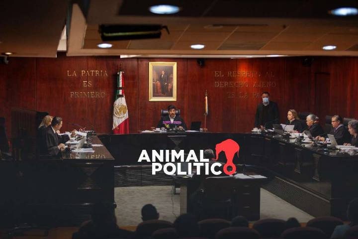 Corte falla en contra de Salinas Pliego en siete amparos; deberá pagar más de 50 mil mdp por adeudos