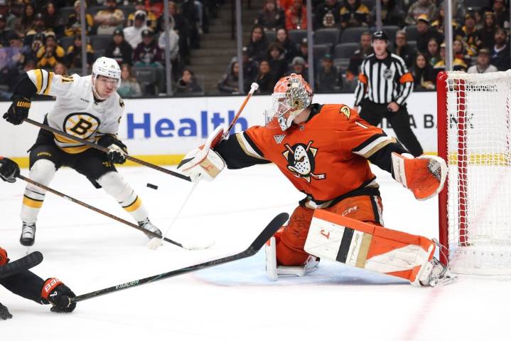 Ian Moore, Lukáš Dostál lead Ducks past Bruins for season sweep