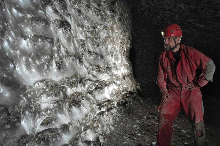 World's Largest Spider Web, Home to 110,000 Arachnids, Found in Cave
