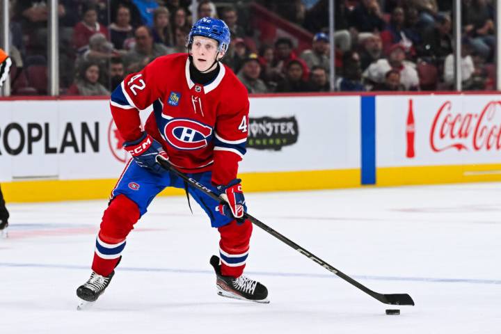 Canadiens Recall Adam Engström
