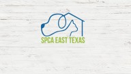 SPCA of East Texas shares Thanksgiving food safety tips for pets