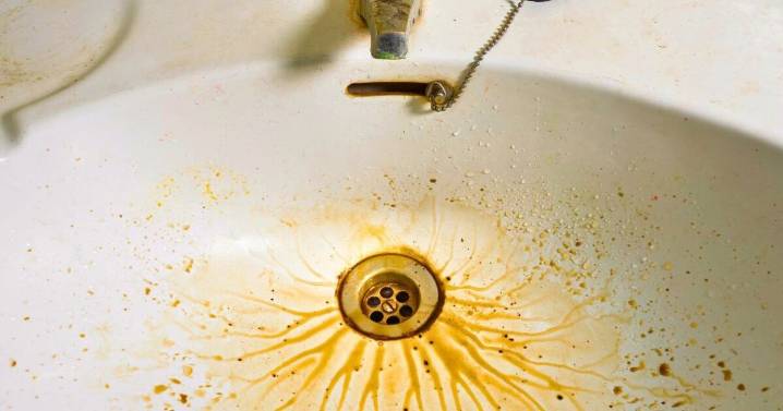 Drains stay clean and never smell if you pour 1 kitchen item down the sink