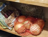 Preserving your harvest: The essentials for long